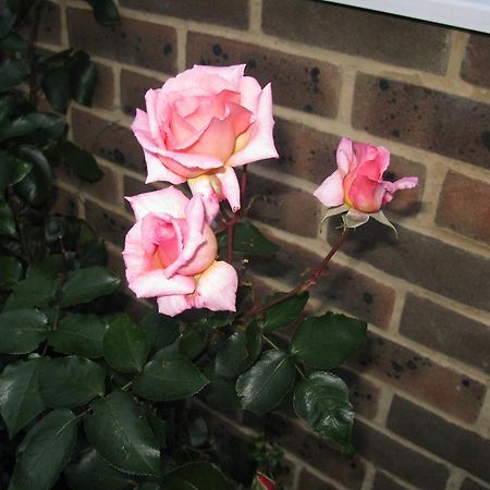 Avebury Life Bed & Breakfast Bagian luar foto